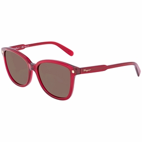 Salvatore Ferragamo SF815S52556 SF815S Ladies  Sunglasses