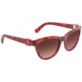 Salvatore Ferragamo SF817S609 SF817 Ladies  Sunglasses
