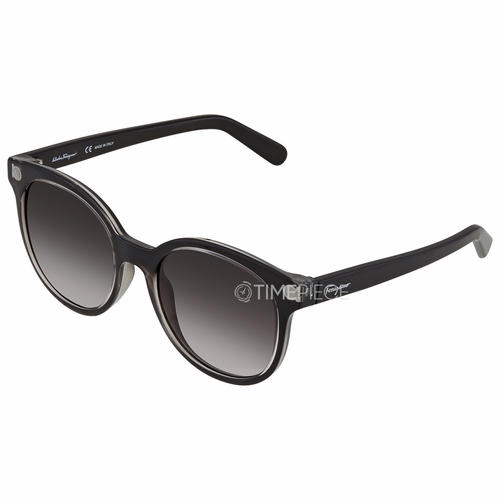 Salvatore Ferragamo SF833S 001 53 Ladies Sunglasses Salvatore Ferragamo SF833S 001 53 Ladies Sunglasses