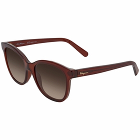 Salvatore Ferragamo SF834S 210 55    Sunglasses
