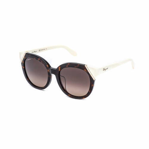 Salvatore Ferragamo SF836SA 215 53  Ladies  Sunglasses