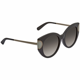 Salvatore Ferragamo SF840SA00154 SF840SA Ladies  Sunglasses