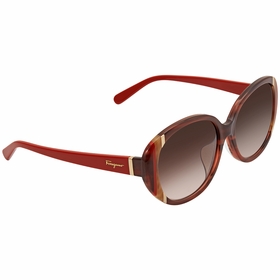 Salvatore Ferragamo SF842SA 216 58    Sunglasses