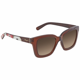 Salvatore Ferragamo SF858S21053  Ladies  Sunglasses