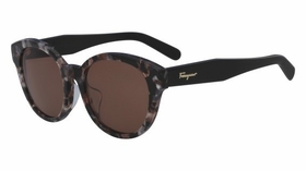 Salvatore Ferragamo SF884SA 273 53  Ladies  Sunglasses