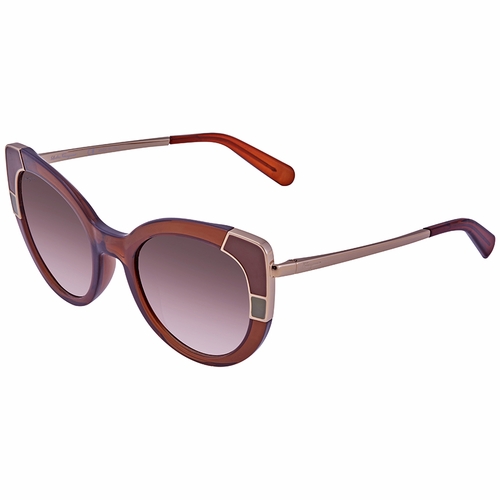 Salvatore Ferragamo SF890S 210 52 Ladies Sunglasses Salvatore Ferragamo SF890S 210 52 Ladies Sunglasses