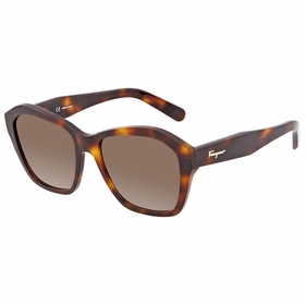 Salvatore Ferragamo SF894S21455  Ladies  Sunglasses