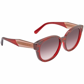 Salvatore Ferragamo SF895SA28956  Ladies  Sunglasses