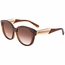 Salvatore Ferragamo SF895SA29656 SF895SA Ladies  Sunglasses