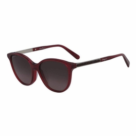 Salvatore Ferragamo SF907SRA 634 55  Ladies  Sunglasses