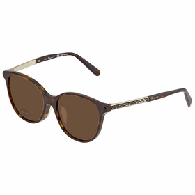 Salvatore Ferragamo SF907SRA2145516  Ladies  Sunglasses