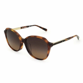 Salvatore Ferragamo SF908SRA 214 57  Ladies  Sunglasses
