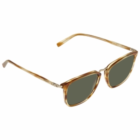 Salvatore Ferragamo SF910S 260 54    Sunglasses