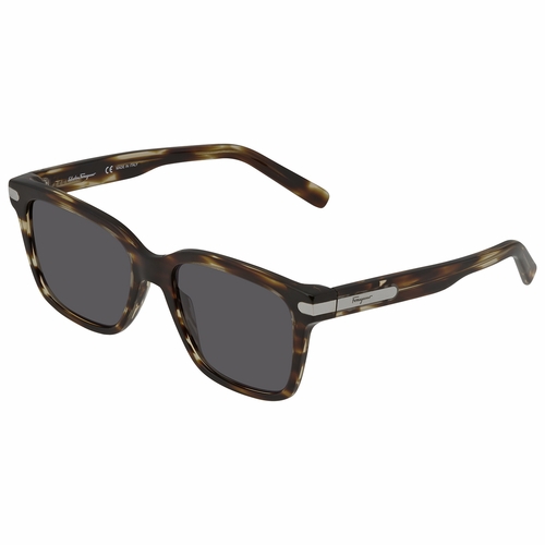 Salvatore Ferragamo SF917S 38781 216 55  Unisex  Sunglasses