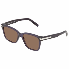 Salvatore Ferragamo SF917S 38781 433 55  Unisex  Sunglasses