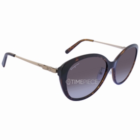 Salvatore Ferragamo SF973SA 214 58  Ladies  Sunglasses