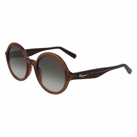 Salvatore Ferragamo SF978S 210 52  Ladies  Sunglasses