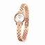 Salvatore Ferragamo SFHT00820  Ladies Quartz Watch
