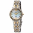 Seiko SUP360 Core Solar Ladies Eco-Drive Watch