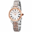 Seiko SUR628P1  Ladies Quartz Watch