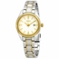 Seiko SUR636P1  Ladies Quartz Watch