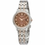 Seiko SUT349 Solar Ladies Eco-Drive Watch