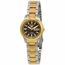 Seiko SYMD94 Series 5 Ladies Automatic Watch