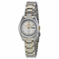 Seiko SYMK29 Series 5 Ladies Automatic Watch