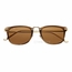 Simplify SSU107-BN Foster Unisex  Sunglasses
