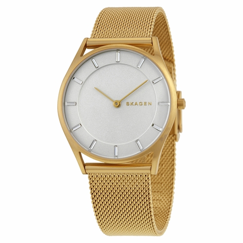 Skagen SKW2377 Holst Ladies Quartz Watch