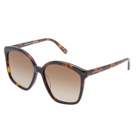 Tommy Hilfiger TH1669/S0086HA57  Ladies  Sunglasses