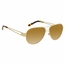 Tory Burch TY6060 30412L 55  Ladies  Sunglasses