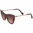 Valentino VA4043 510513 52  Ladies  Sunglasses