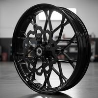 Blackout Replica Prodigy Front Wheel and Lyndall Rotors w/ Titanium Hardware