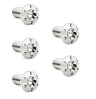 Titanium Rotor Bolts, Polish