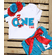 Dr Seuss Matching Family Birthday Party Shirt - Cat in the Hat Birthday Tees