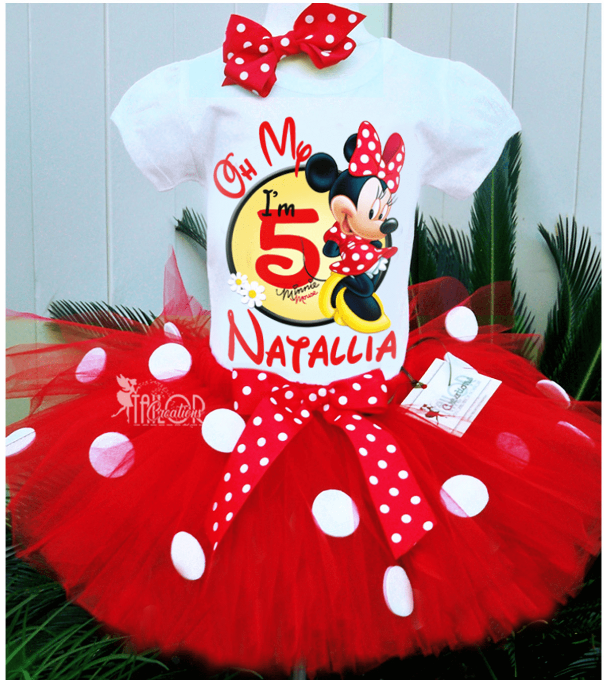  Minnie Mouse Birthday Girl Tutu Dress Outfit - Minnie Red Cake Smash Outfit