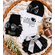 Raiders Newborn Baby Girl Outfit - Cutest Raiders Fan Bodysuit Gift Box for Girl