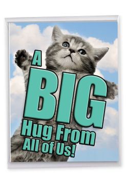 cat-a-big-hug-jumbo-card-171.jpg