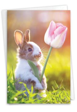 Rabbittuff_商品（カード） Rabbittuff_商品（カード） Amazon.co.jp: ゼクス Z X 爆萌の千年姫 紅