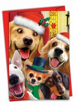 Nobleworks Merry Christmas Note Cards – 10 Pack, Merry Xmas To Zoo Design