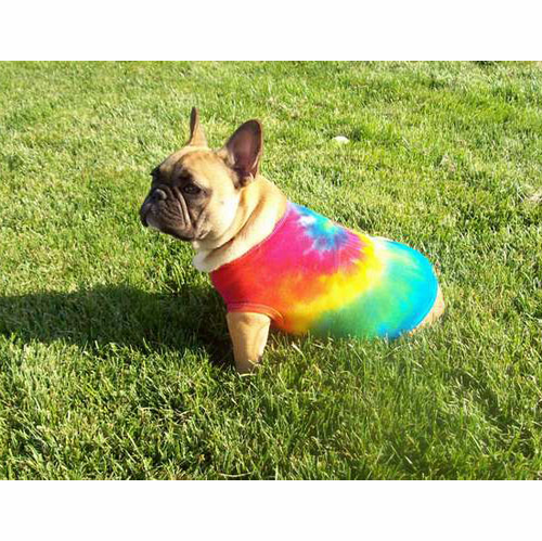 Rainbow Tie Dye Dog Shirts