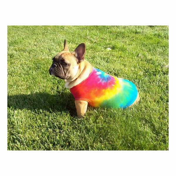 Rainbow Tie Dye Dog Shirts