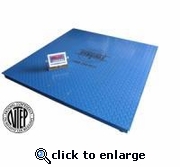 B�scula de Piso de Bajo Perfil NTEP