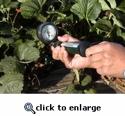 Bomba de Succi�n para Chupa Tubos