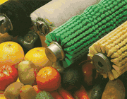 Cepillos para las Hortalizas