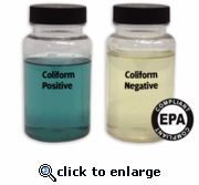 Detector de Coliformes (E. Coli) en el Agua