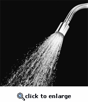 Regadera Dramm 170 AL