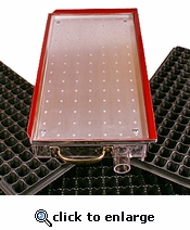 Sembradora de Precisi�n BERRY