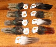 HARELINE    COQ DE LEON